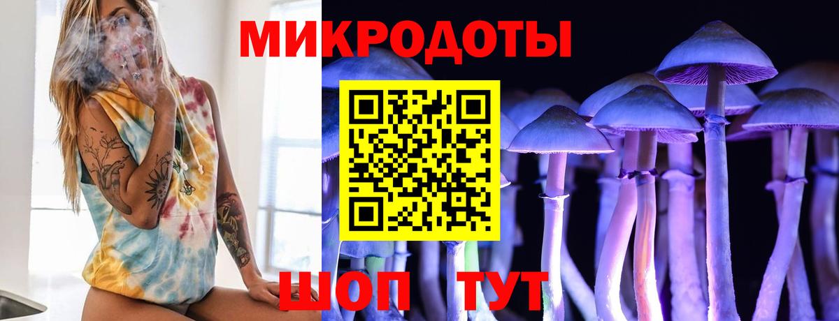Майкоп  Псилоцибиновые грибы Psilocybe  купить наркотик  Вход с VPN 