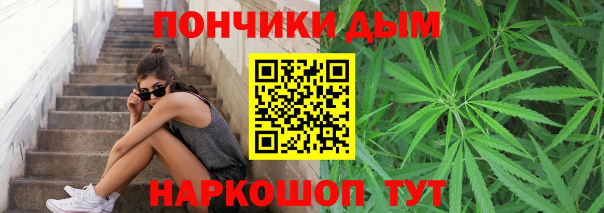 Кодеин Майкоп